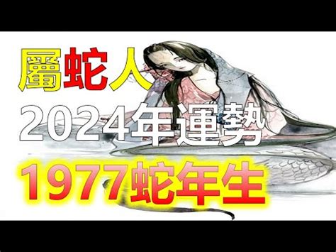 67年次屬馬|屬馬今年幾歲｜屬馬民國年次、馬年西元年